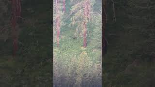 IMG 6353 a222f747 8c52 405c b611 c884ee568e44