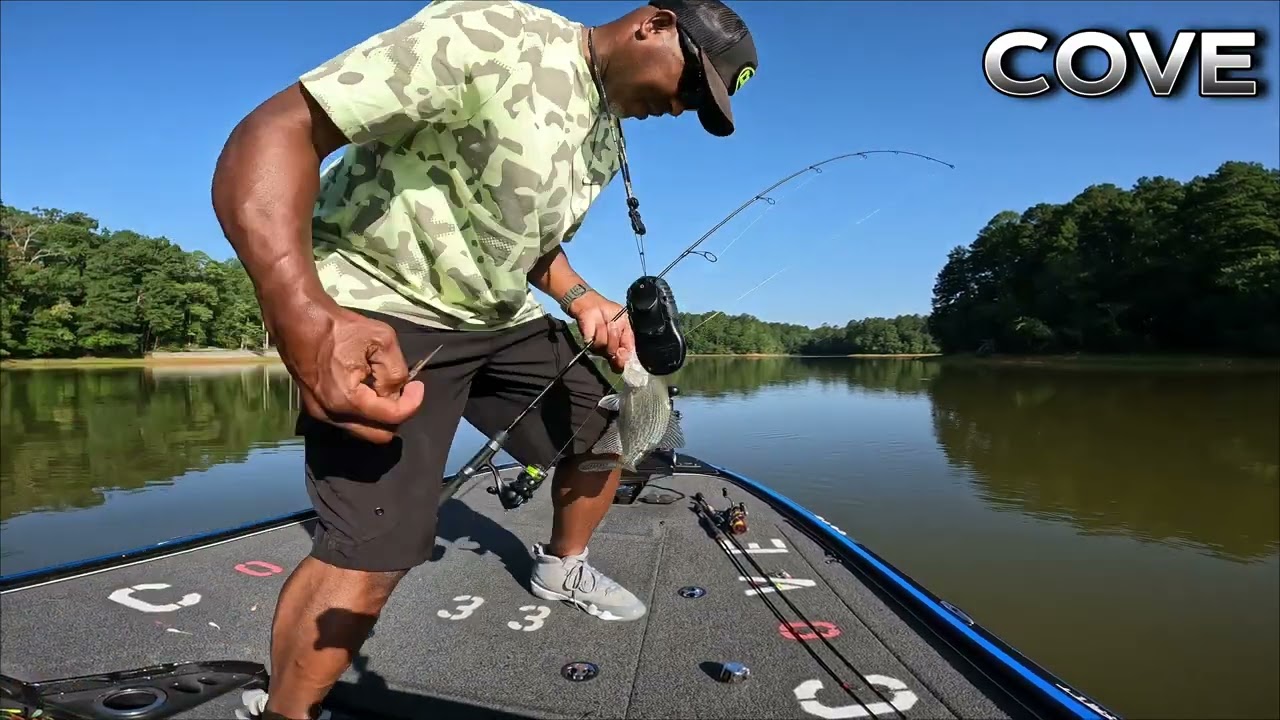 Cove Ultimate Fishing
