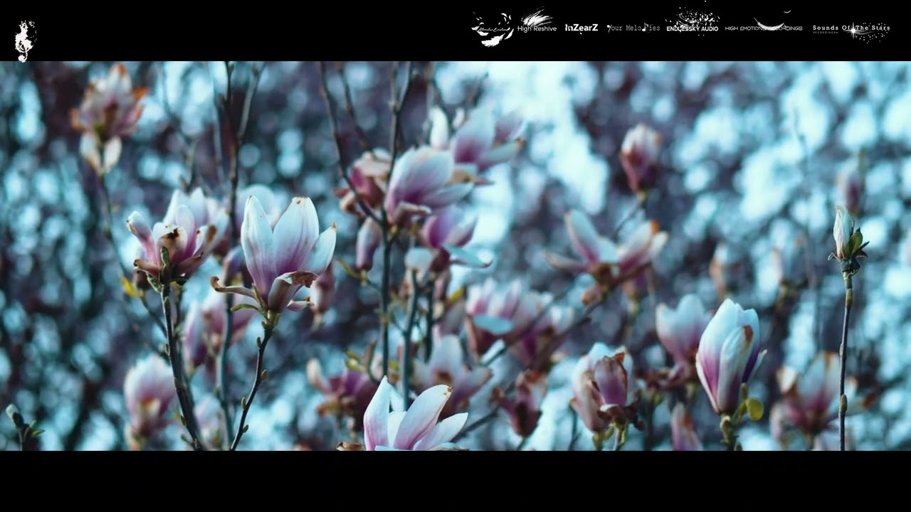 XMeng & AzureZenith - Eternal Love (Trance Is The Life Recordings) Emotional Trance