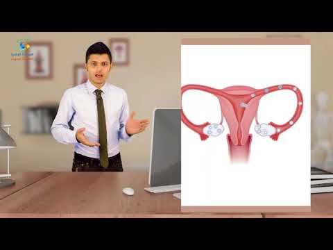 أجزاء الجهاز التناسلي عند الإنسان ووظائفه آفاق علمية وتربوية