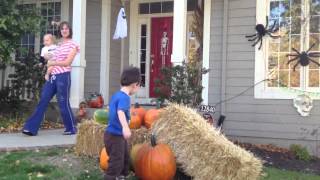 Colon Putting Leaves On The Pumpkins