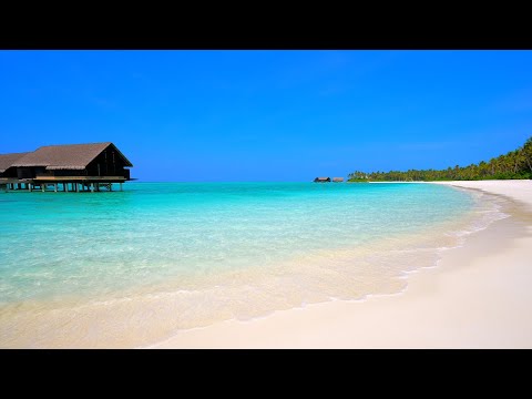  Beach View: 12 Hours of Maldives Ambience & Soft Ocean Sounds