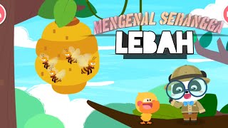 Mengenal serangga LEBAH - Game anak anak - Baby bus -  Game edukasi anak - Game android anak screenshot 3