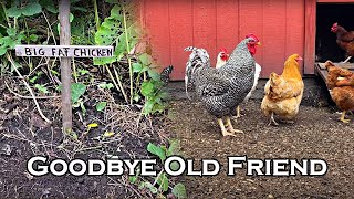 Goodbye Big Fat Chicken