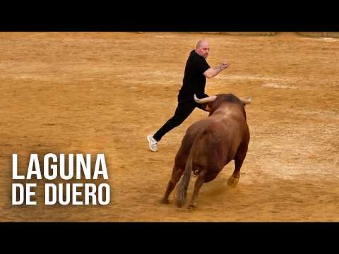 Laguna de Duero 2026 Capea con Toros Bravos