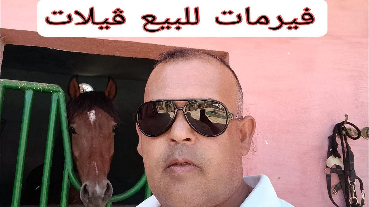 عروض اراضي الخير  فيرمات ڤيلات أراضي 6 دقائق فرجة و بحت 0679444657