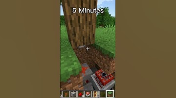 Minecraft: Tree Trap #shorts #trending