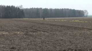 UFO W ZDANACH - MINĘŁO OSIEM LAT!