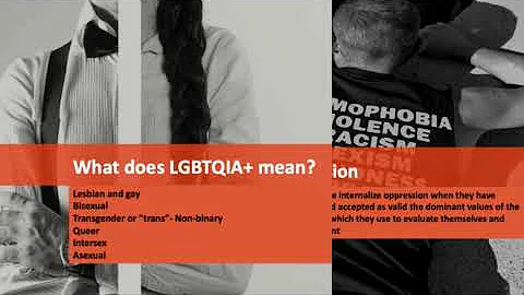 LGBTQIA+ employee learning needs assessment using ...