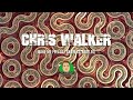 Chris Walker - Make Me Feel (DJ Snow SA Bootleg)