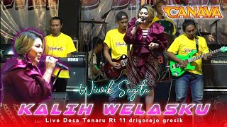 KALIH WELASKU | WIWIK SAGITA | OM CANAVA LIVE DESA TENARU RT 11 DRIYOREJO GRESIK