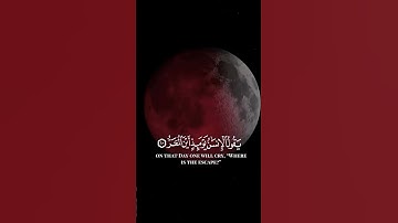 سورة القيامة 🌾 رعد الكردي 🍁#quran