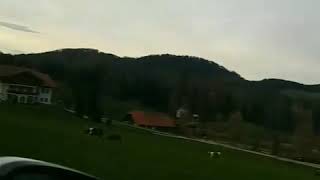When in Austria