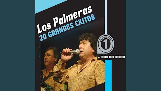 Video thumbnail of "Los Palmeras - Cumbia Sobre El Mar"