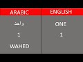 Arabic Vocabulary for Beginners Part 1| numbers Arabic to English