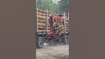 Timber 😍#forest #forestry #forester #timber #logger