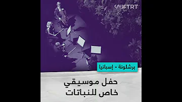 حفل موسيقي خاص للنباتات 
