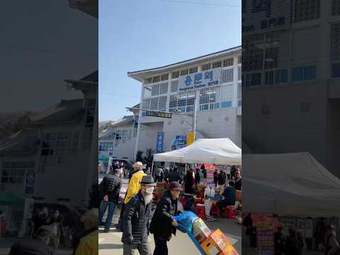 용문 설 대목장날#용문장#설날#대목장#오일장#전통장