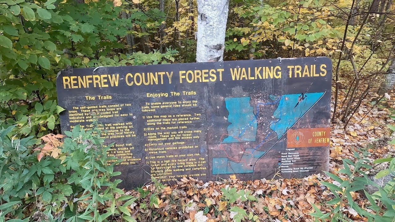 Beachburg Forest Walking Trails