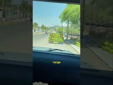 Водителю надоела торговля на дороге