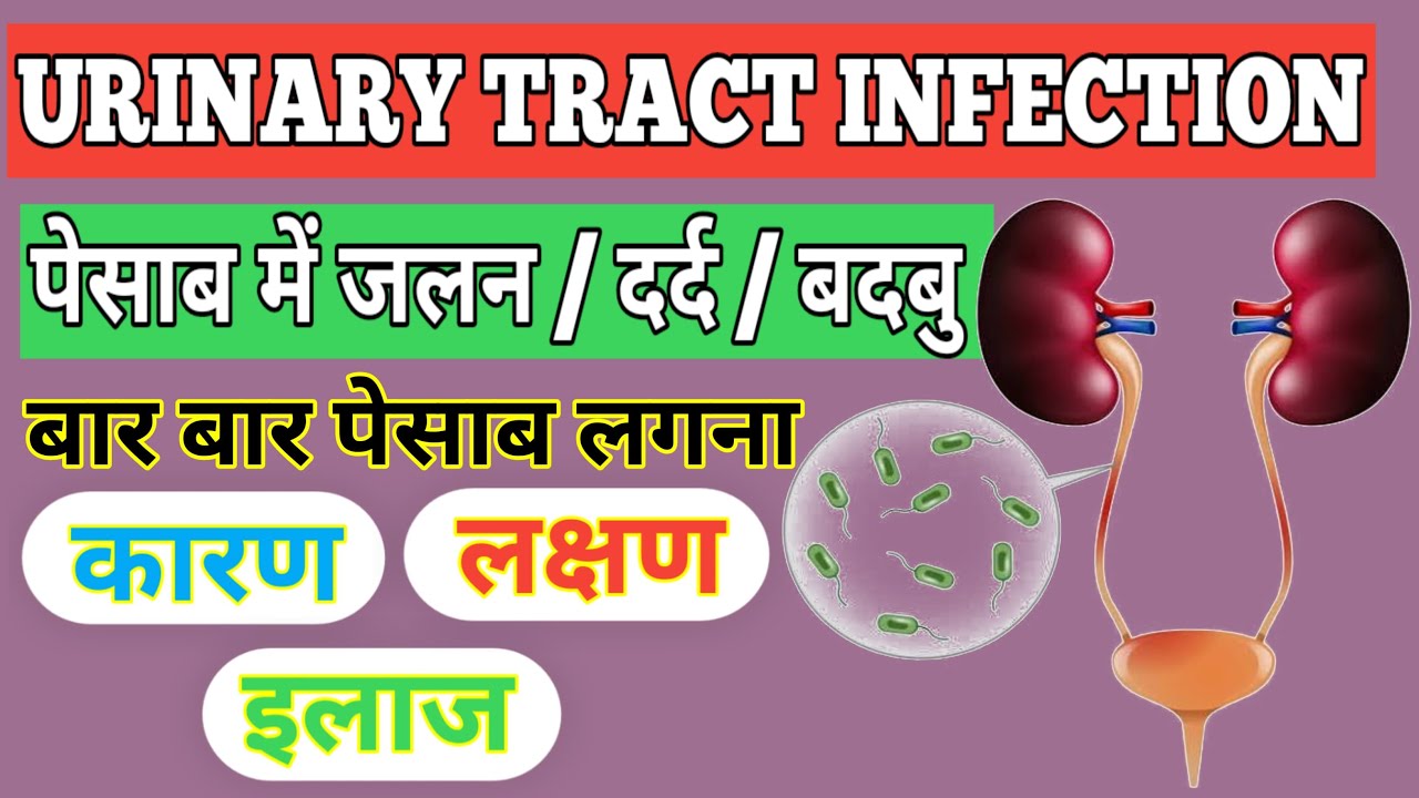पेसाब में जलन,दर्द,बदबु Urinary tract infection(UTI) urinary tract