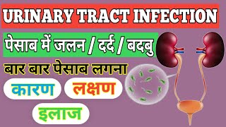 पेसाब में जलन,दर्द,बदबु || Urinary tract infection(UTI)|| urinary tract infection treatment in hindi