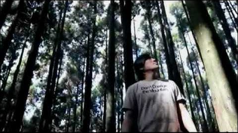 Basic_Idea & TCD - Project Hammock