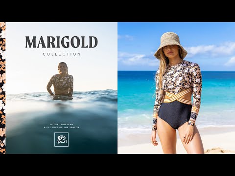 Video: Marigold -varianter (64 Bilder): Beskrivelse Av Variantene 
