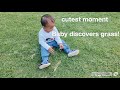 Baby Putu discovers grass #cute #grass #baby #goodvibes