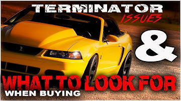 Buying A 03/04 Terminator Cobra??