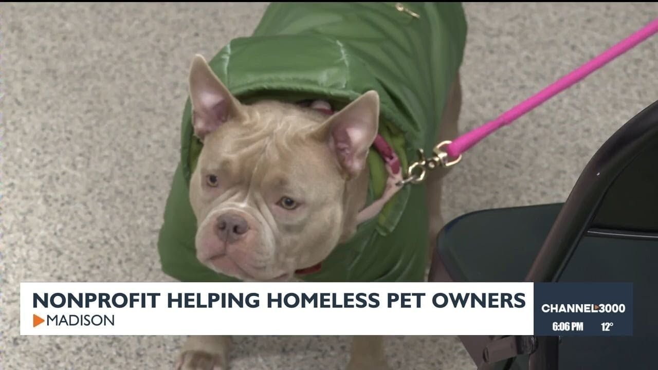 Madison nonprofit provides free pet care for homeless, low-income residents during winter