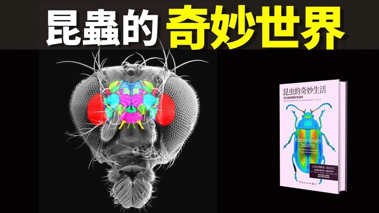 昆蟲的奇妙世界   科普暢銷書解讀《昆蟲的奇妙生活》生物學,生態,探秘,生物鏈,自然,科學
