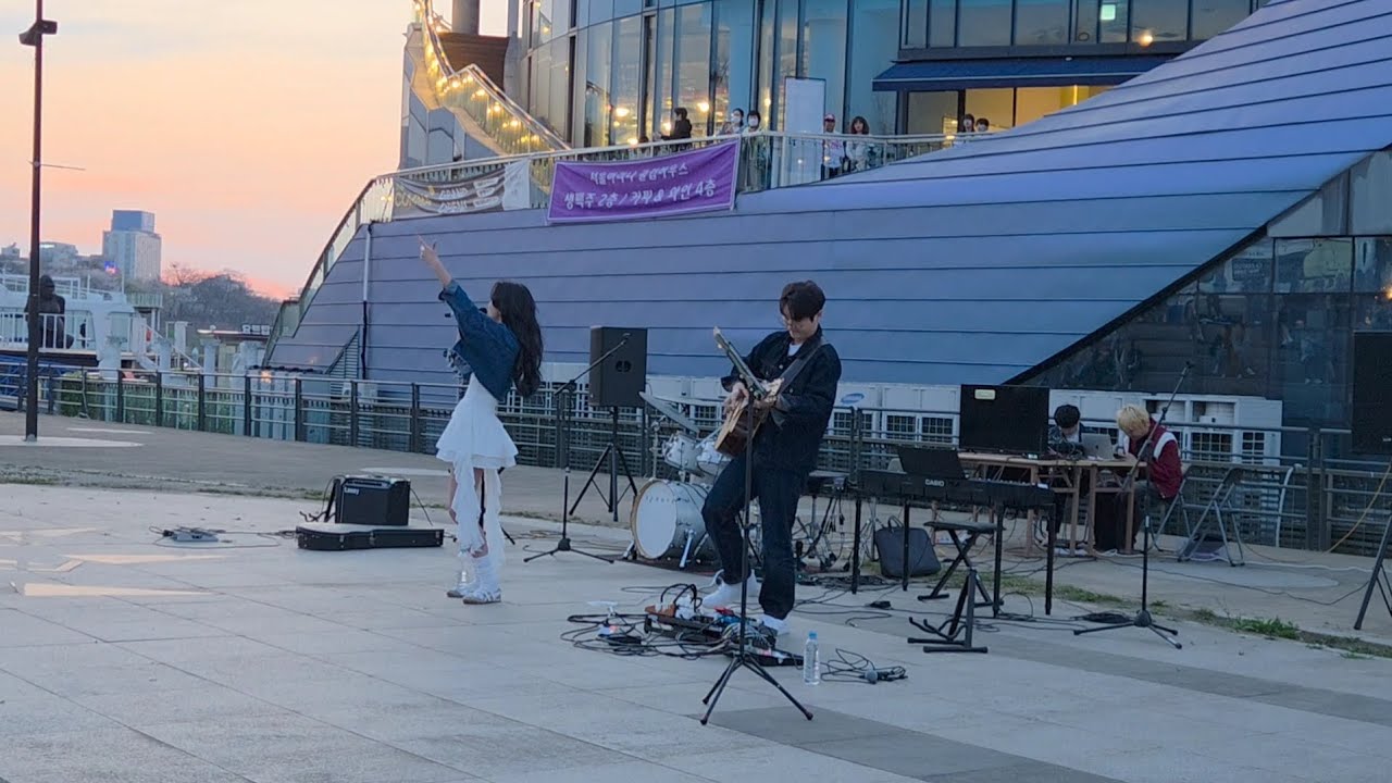 블루퍼피 공연 모음