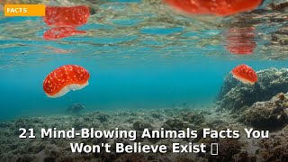 21 Mind-Blowing Animals Facts You Won't Believe Exist 🐠