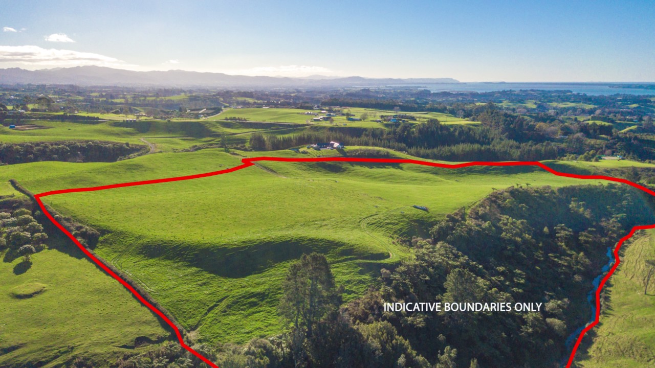 Eves 299 Whakamarama Road Whakamarama Western Bay of Plenty