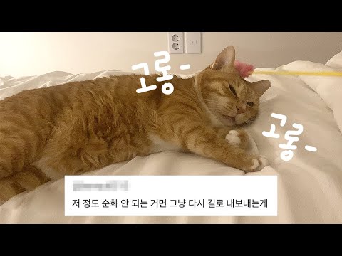 우리 오들이 다시 길로 보내라고 한 사람 나와