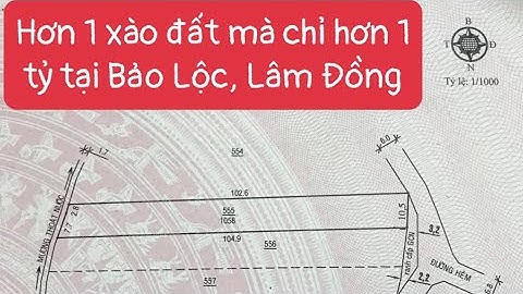 10,5 x 103 ( 1058m2 ) tại Xã Lộc Châu, TP Bảo Lộc, Tỉnh Lâm Đồng.