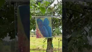 IMG 9940