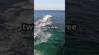Florida Man's March 30th Outrageous Pirate Escapade – From Ankle Monitor to 5-Boat Heist!