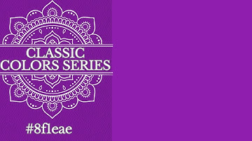 [BRIGHT PURPLE] — 4K Solid Color Background (1 Hour Loop) | Digital Visual Display