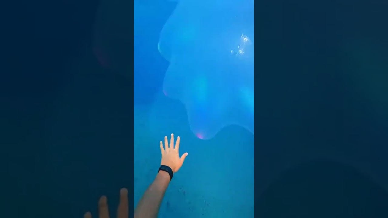 Waterslide into pool full of giant fish 