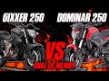 GIXXER 250 VS DOMINAR 250 Cual Es Mejor?