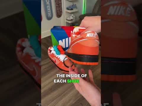 WATCH BEFORE YOU