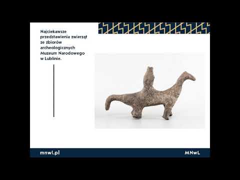 Najciekawsze przedstawienia zwierząt ze zbiorów archeologicznych Muzeum Narodowego w Lublinie