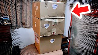【1】エアプランツを約7000$分アメリカから輸入してみた結果規格外過ぎたwww【ティランジア】We imported loads of Tillansias from the U.S.!