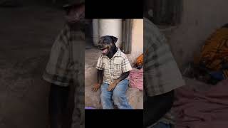 wait for it #couplescomedy #funny #everyone #goviral