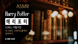 [ASMR] O.W.L 시험기간, 호그와트 그레이트홀에서 공부하기 🧙‍♀️🧙‍♂️ | Harry Potter, ambience, study, asmr, sleep, 집중력높이는소리