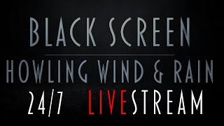 Black Screen Howling Wind & Rain & Thunder | LiveStream 24/7