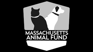 Animal Intake Form Tips for Fillable PDFs