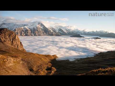 Timelapse of temperature inversion clouds at sunset, Swiss Alps